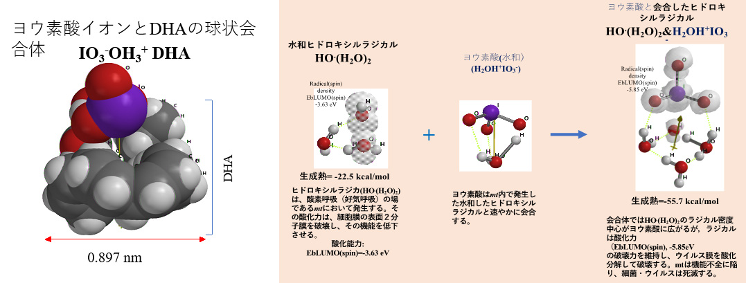 ヨウ素酸(H+IO3-)の抗ウイルス作用の検証・予見